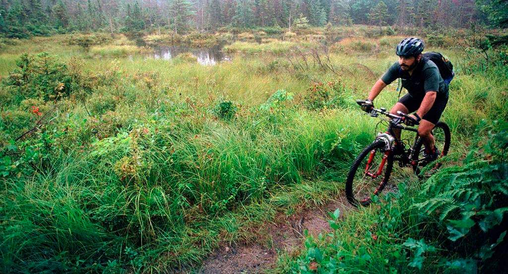 FILE - In this Aug. 26, 1999 file photo, a rider peddles his mountain bike through the White Mountain National Forest in Bartlett, N.H.