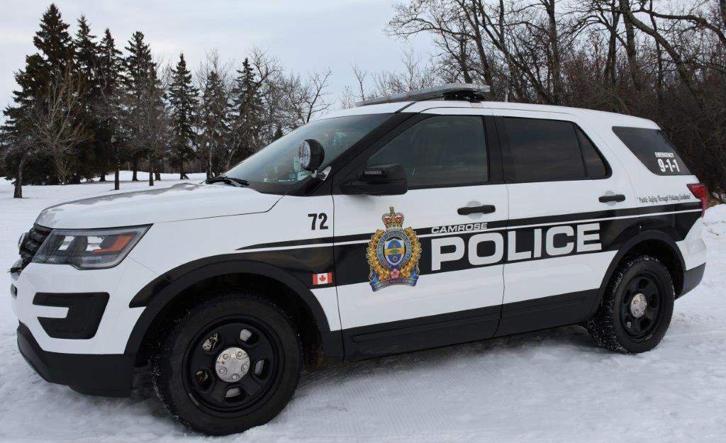 Camrose police, Edmonton police, RCMP and ALERT officers are investigating 17 properties in the Camrose area in an organized crime investigation.