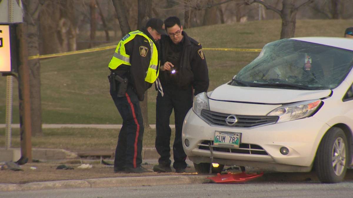 Officers take a look at a white car involved in a collision on Pembina Highway Thursday night.