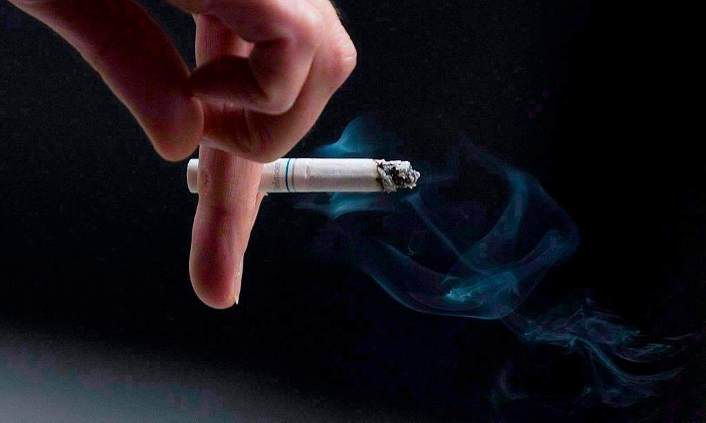A cigarette butt caused a fire on Grant Avenue, said WFPS.