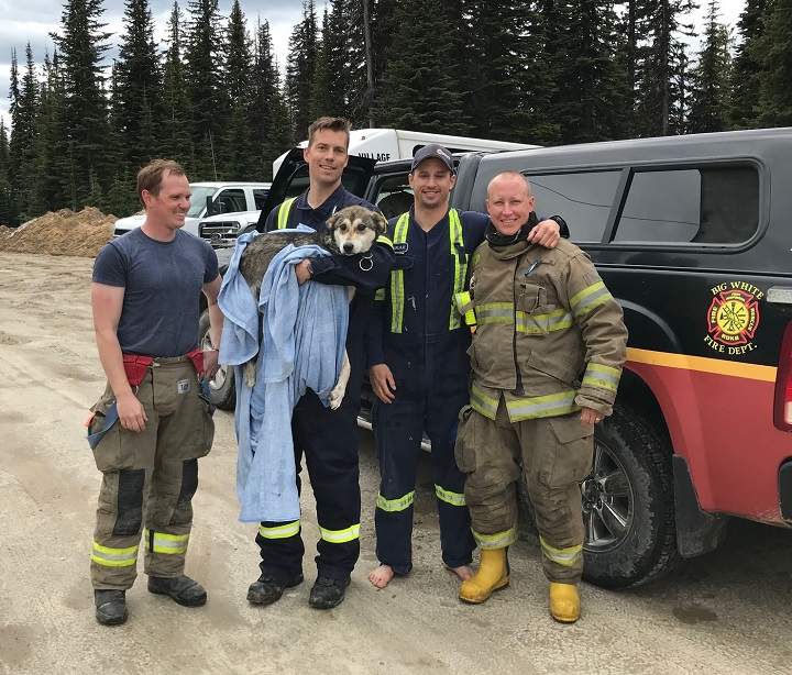 Big White firefighters gather for a photo after rescuing the missing dog from Lake Paul on Monday afternoon.