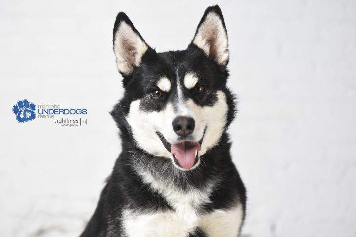 Magoo is looking for her new home.