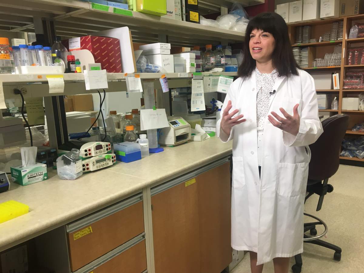 Dr. Lynne-Marie Postovit is a University of Alberta oncology researcher and co-director of the Cancer Research Institute of Northern Alberta.