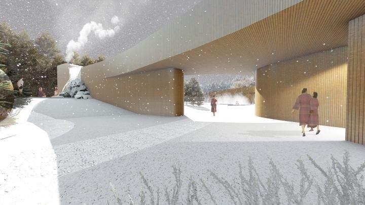 A group of entrepreneurs have banded together to come up with a plan for the Edmonton Nordic Spa.