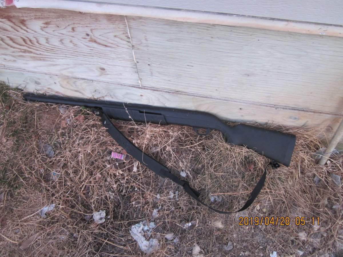 Grand Rapids RCMP bust man with stolen gun - image