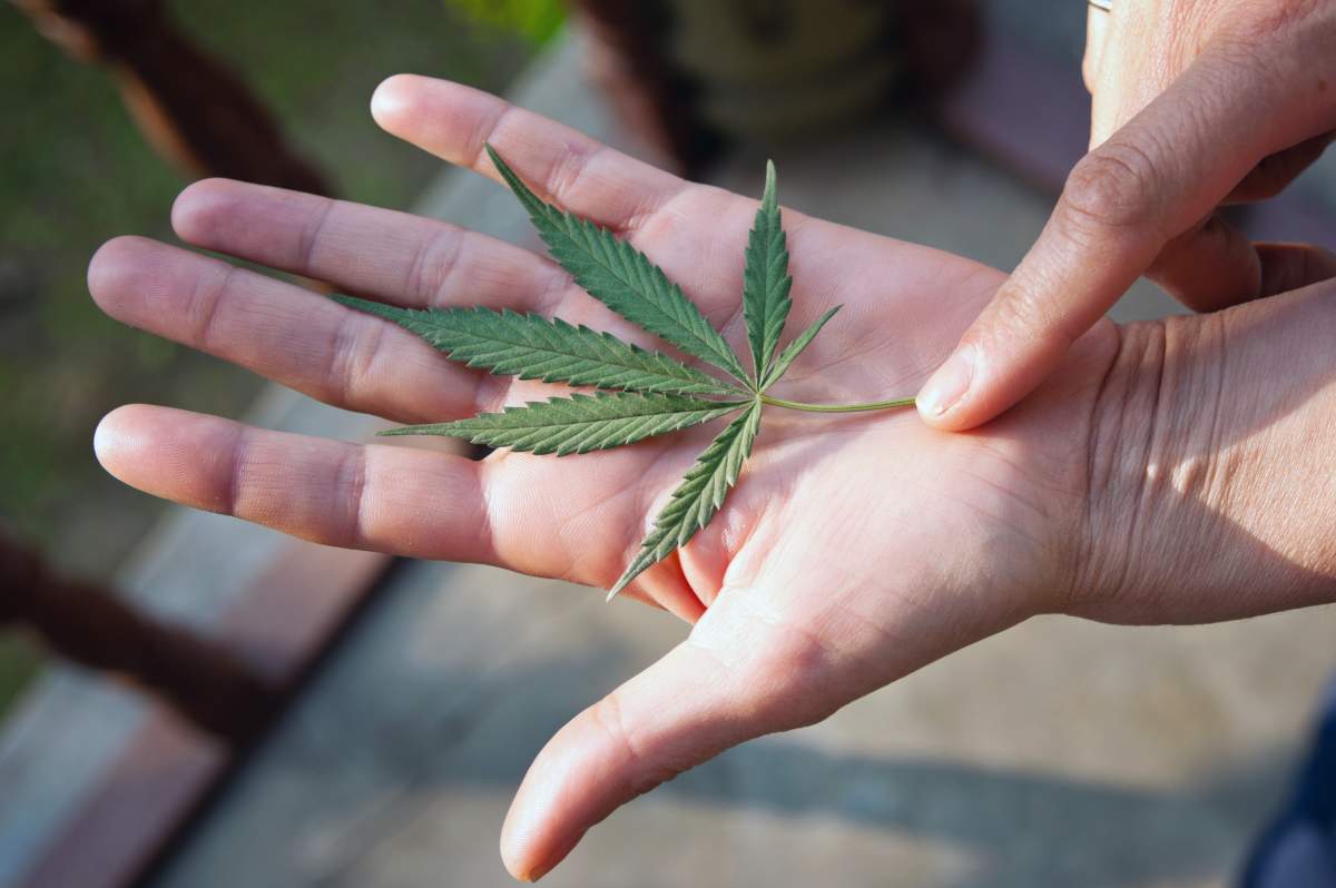Canopy Growth, based out of Smiths Falls, Ont., has funded a project that has created digital tools aimed at stopping teen cannabis use.