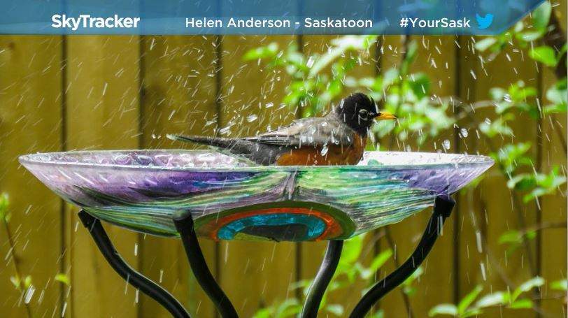 Helen Anderson took the May 29 Your Saskatchewan photo in Saskatoon.