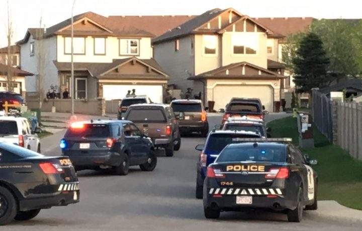 A large Calgary police presence could be seen in Panorama Hills on Wednesday after an officer was injured.