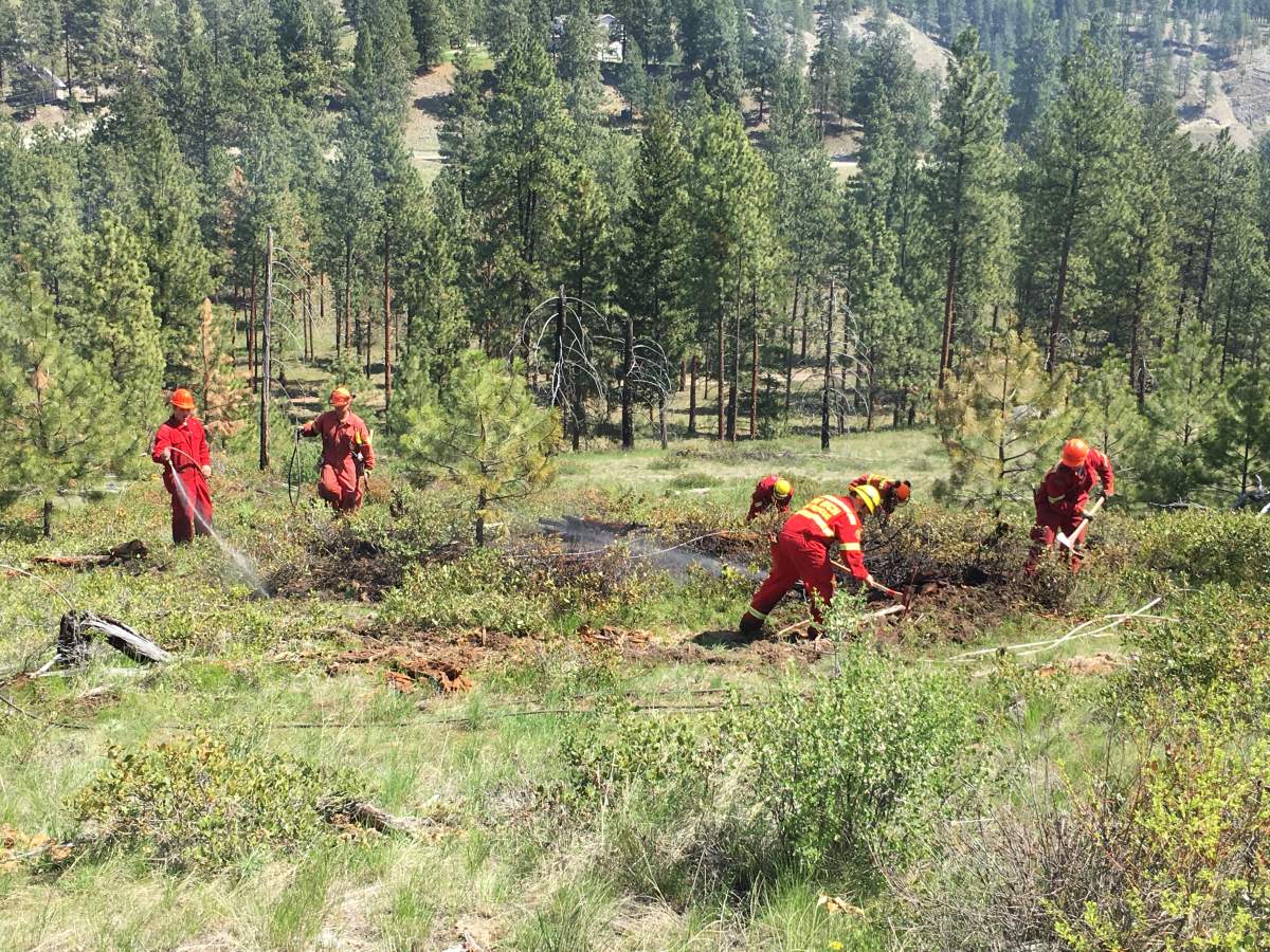 Firefighters participate in a training exercise in the south Okanagan aimed at teaching municipal firefighters to better fight wildfires.