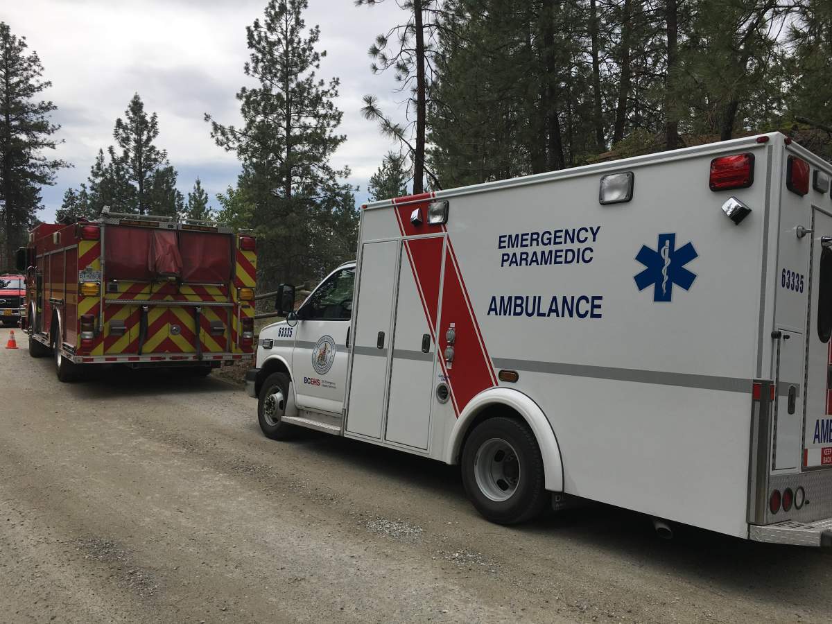 Injured biker rescued at Kelowna-area provincial park - image