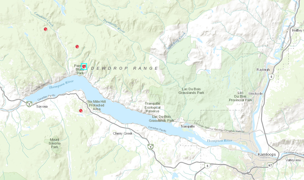 The BC Wildfire Service reported four new lightning-caused fires near Kamloops Lake on Thursday.