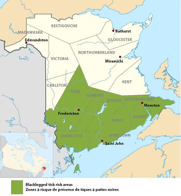 Lyme disease risk areas in New Brunswick.