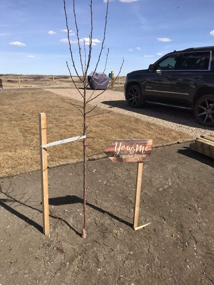 Just one camping site that has to be evacuated at Paradise Shores