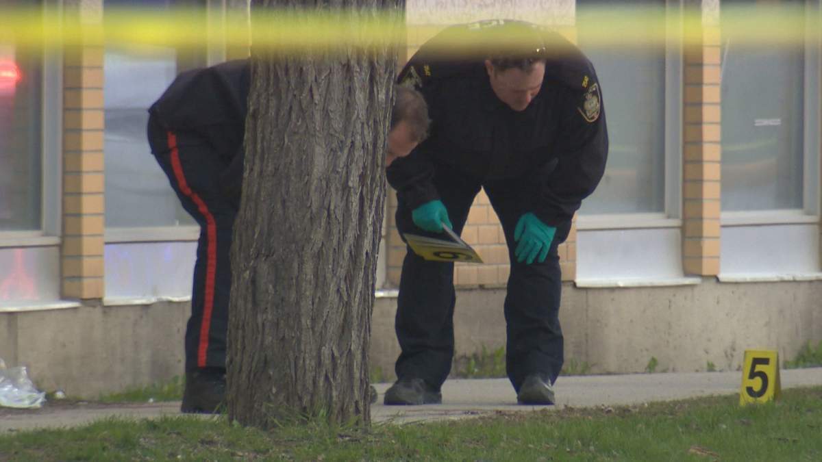 Officers inspect the grass Wednesday night near Olivia and McDermot.