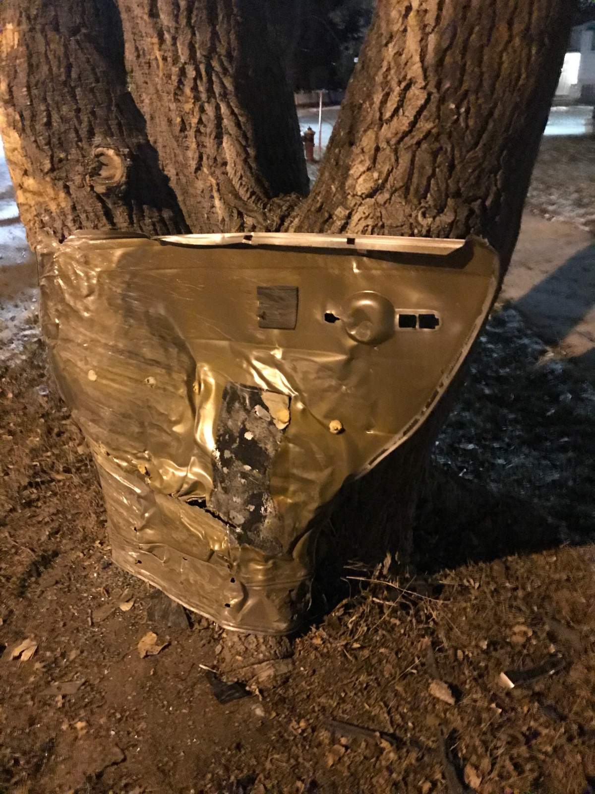 The rear passenger door of the car was embedded in the tree after the crash.