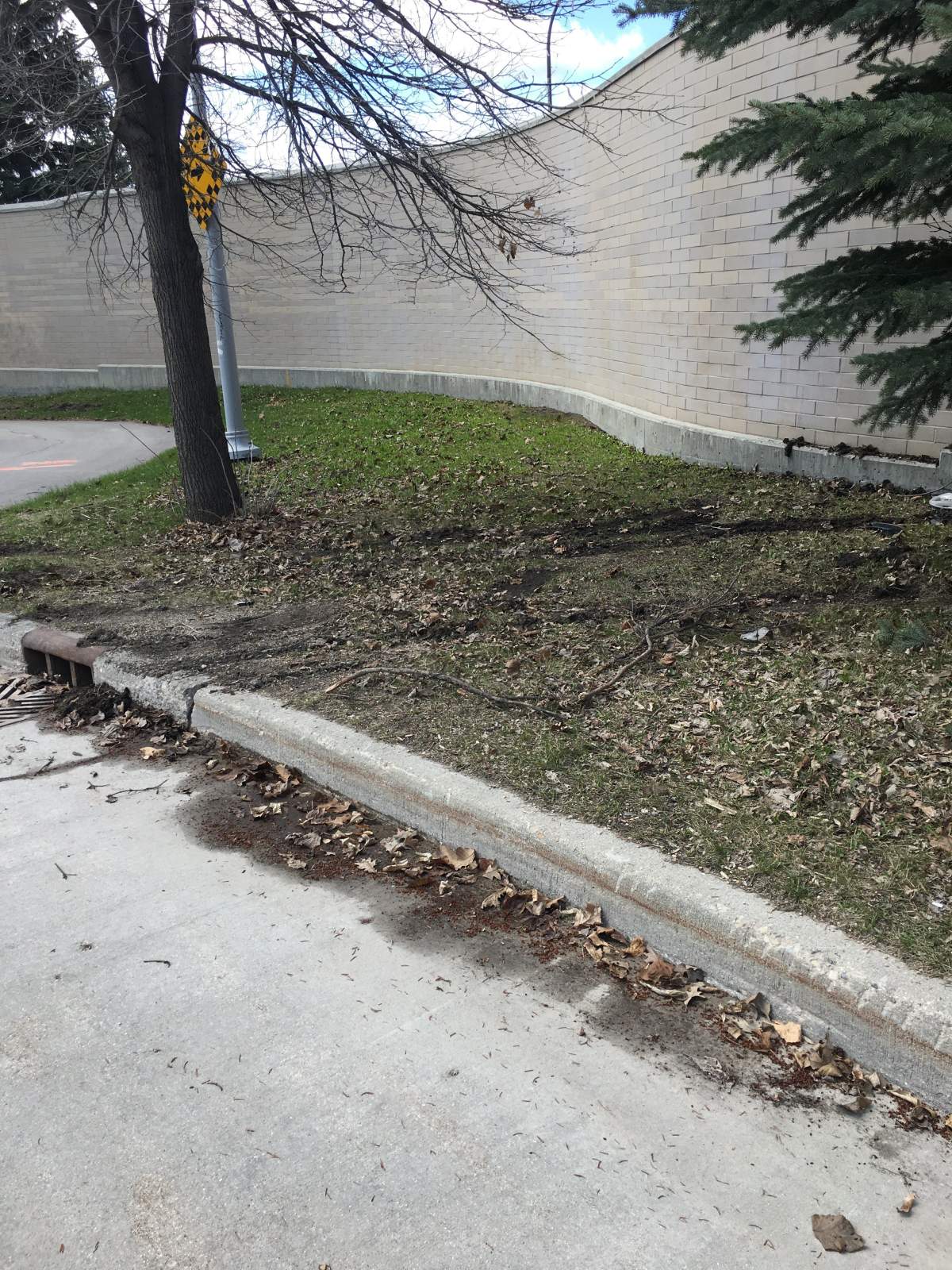 Tire marks left behind from stolen car.