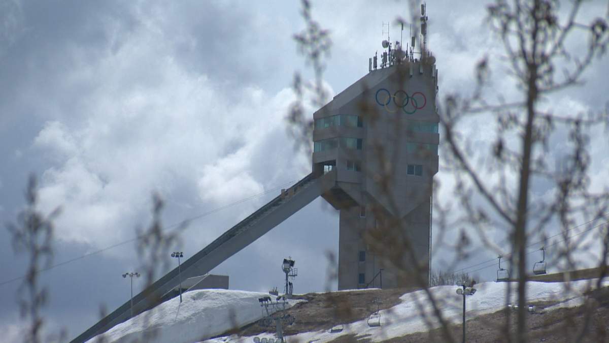 Winsport officials said animal sightings happen often in the area, but a cougar sighting is rare. 