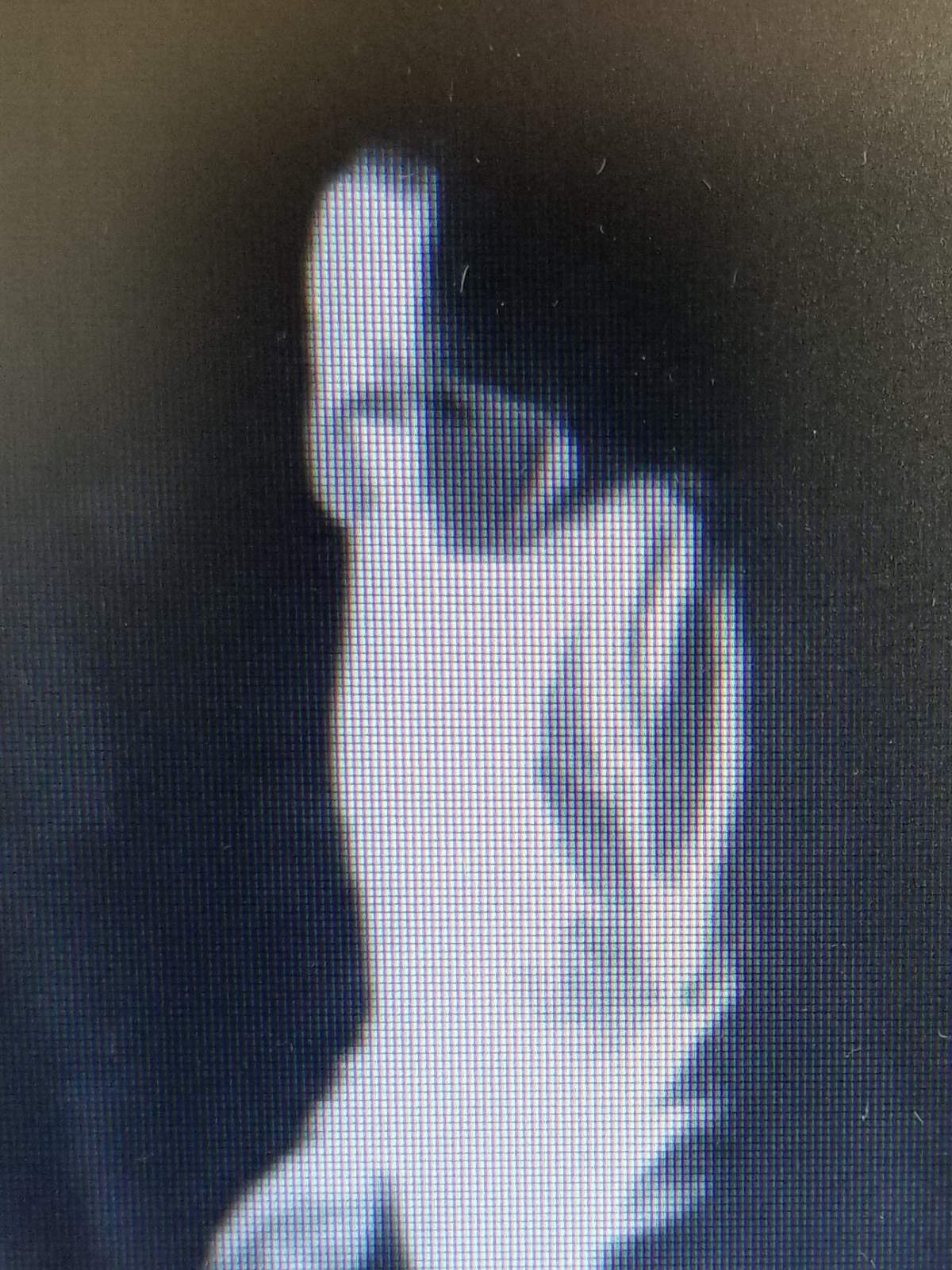 Peterborough County OPP have released this image of a suspect in an alleged break-and-enter at a Havelock restaurant.