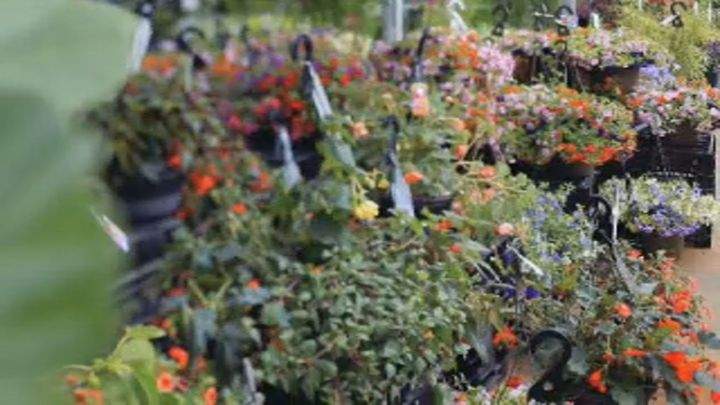 Greengate Garden Centres  is one of Calgary's favorite places to go for all your gardening goods.