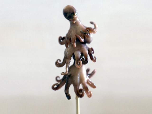 An Octo-lolly will be available at K-Days this year.