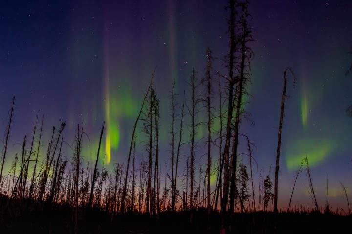 The Your Saskatchewan photo for June 3 was taken by Hamilton Greenwood in Pinehouse.