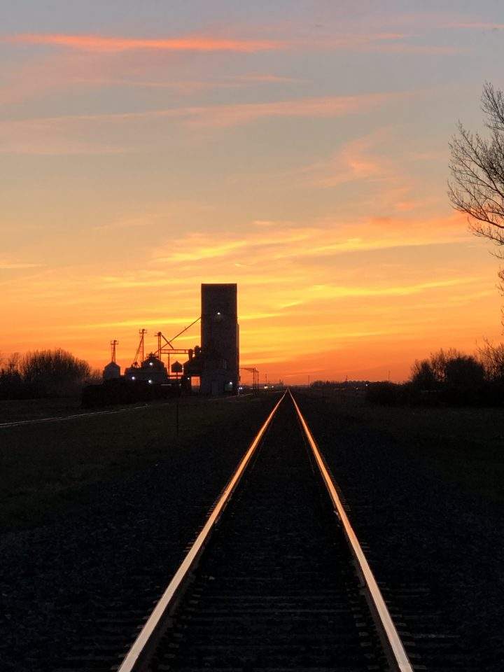 Karen Ryan took the June 17 Your Saskatchewan photo in Milestone.