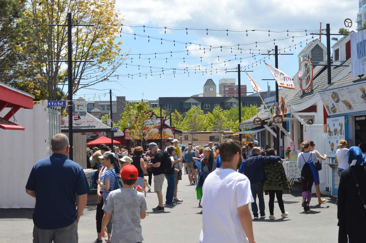 A bustling Halifax waterfront on June 15, 2019.