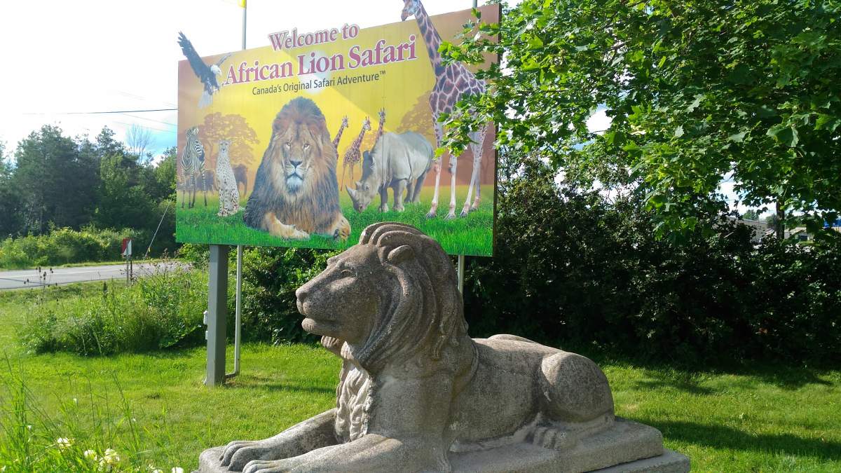 Directors from two different animal welfare organizations weighed in on the prospect of riding a wild animal at a private park on Monday.