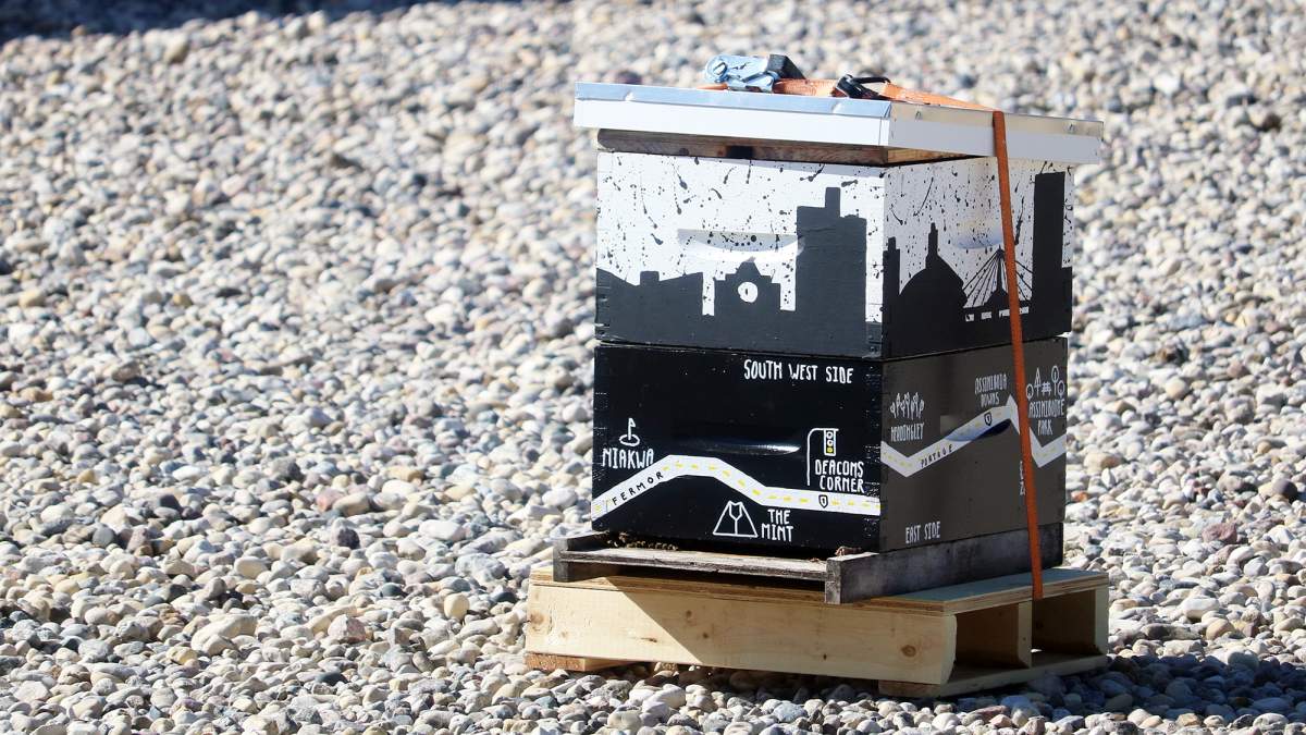 A BeeBox.