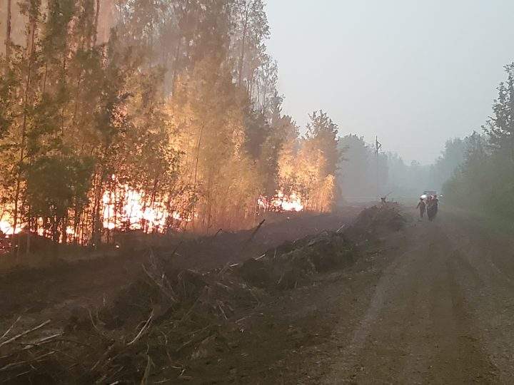 Firefighters work on the south end of the Chuckegg Creek fire near Paddle Prairie on June 1, 2019.