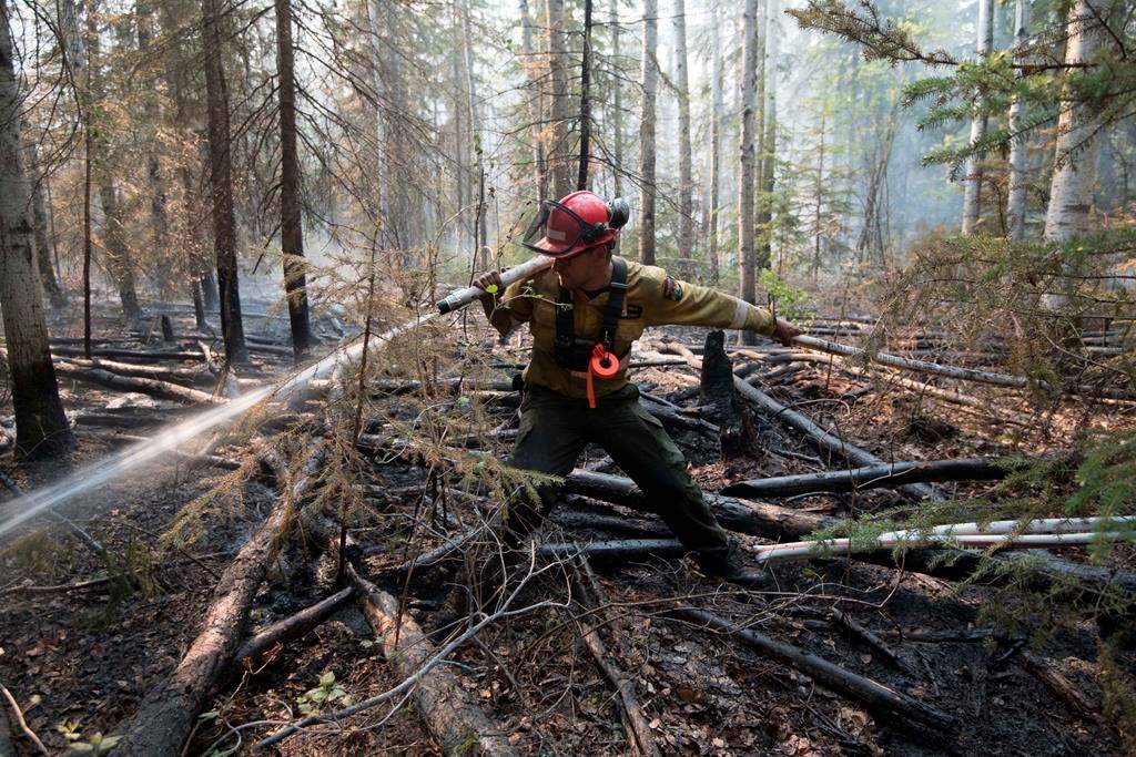A firefighter extinguishes hotspots beside Highway 35 just south of the town of High Level, Alta., on May 25, 2019. Wildfires have forced more people from their homes in northern Alberta. Evacuation orders were issued overnight for the hamlet of Le Crete and other rural properties and reserves in the High Level area. THE CANADIAN PRESS/Government of Alberta, Chris Schwarz, *MANDATORY CREDIT*.