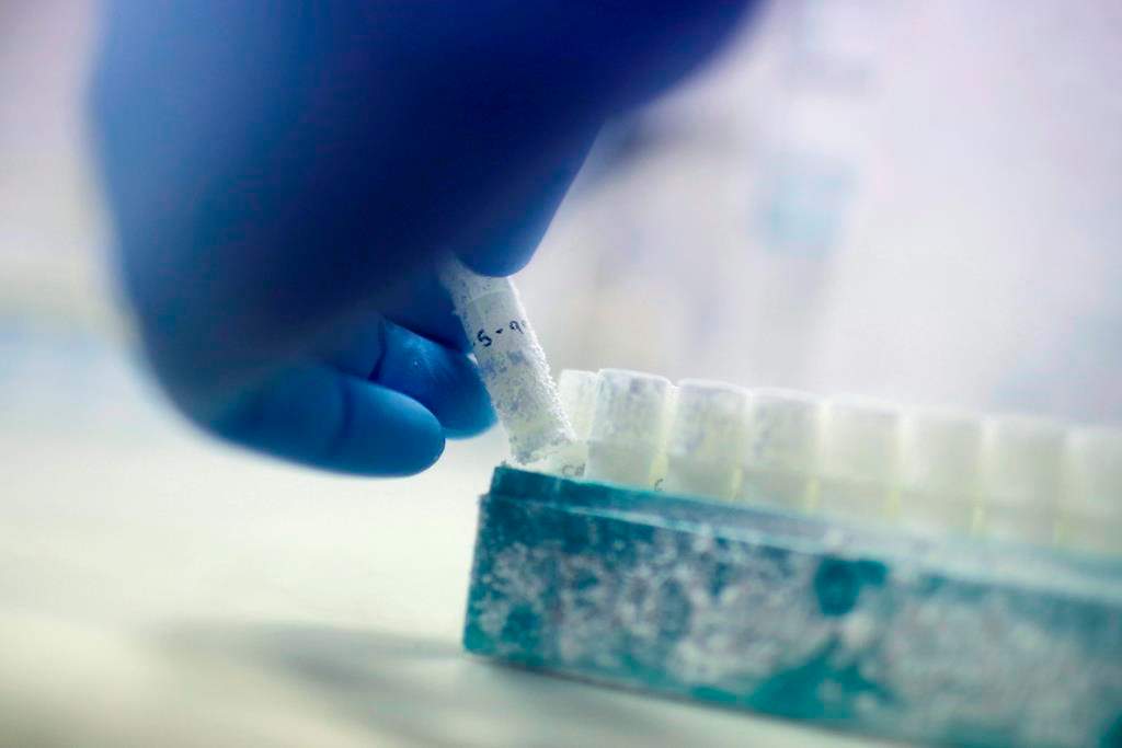 Scientist Fabrice De Bond picks up a vial containing frozen donor sperm samples in a lab at Melbourne IVF in Melbourne, Australia.