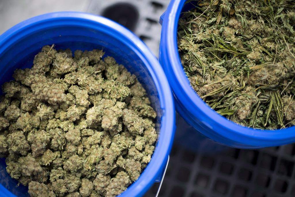 A business professor says Canada's supply issues are far from over.