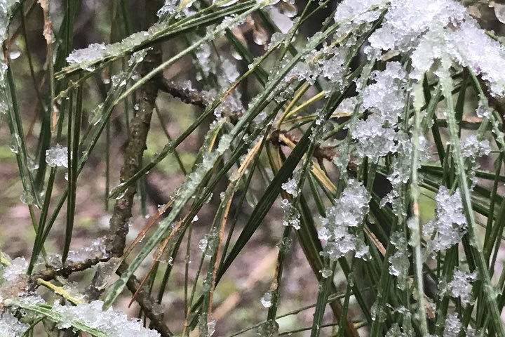 Algonquin Provincial Park saw slight flurries Monday morning.