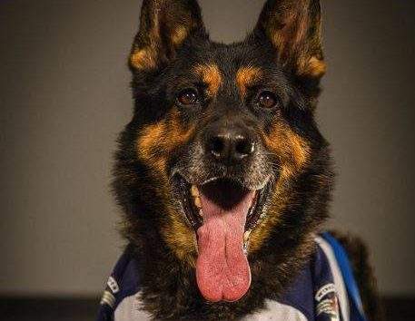 PSD Griffin.