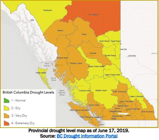 Much of B.C. is under a Level 3 drought declaration, meaning a water crisis could be looming if people don’t conserve water.