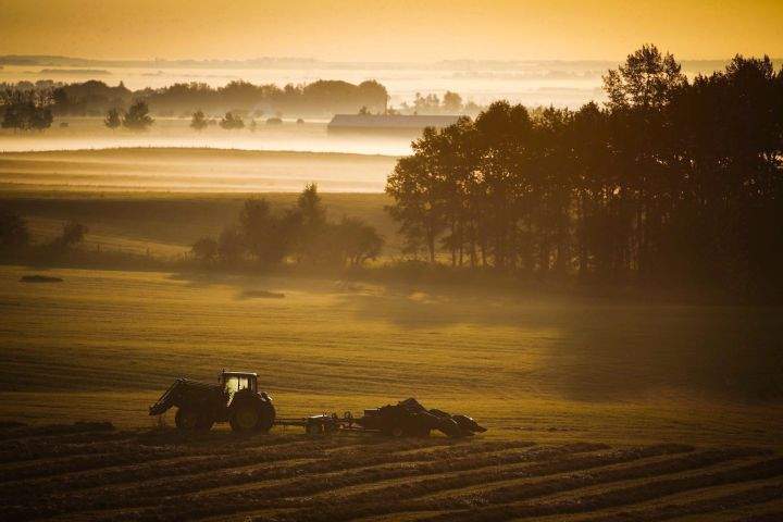 Overall energy use from Canadian agriculture is growing along with average farm size, but energy efficiency is improving as well.