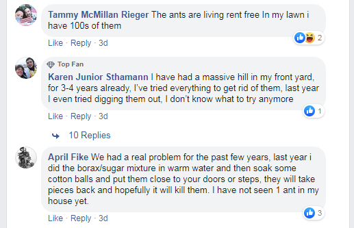 Dozens of Regina residents are complaining on Facebook about ant infestations in their yards.