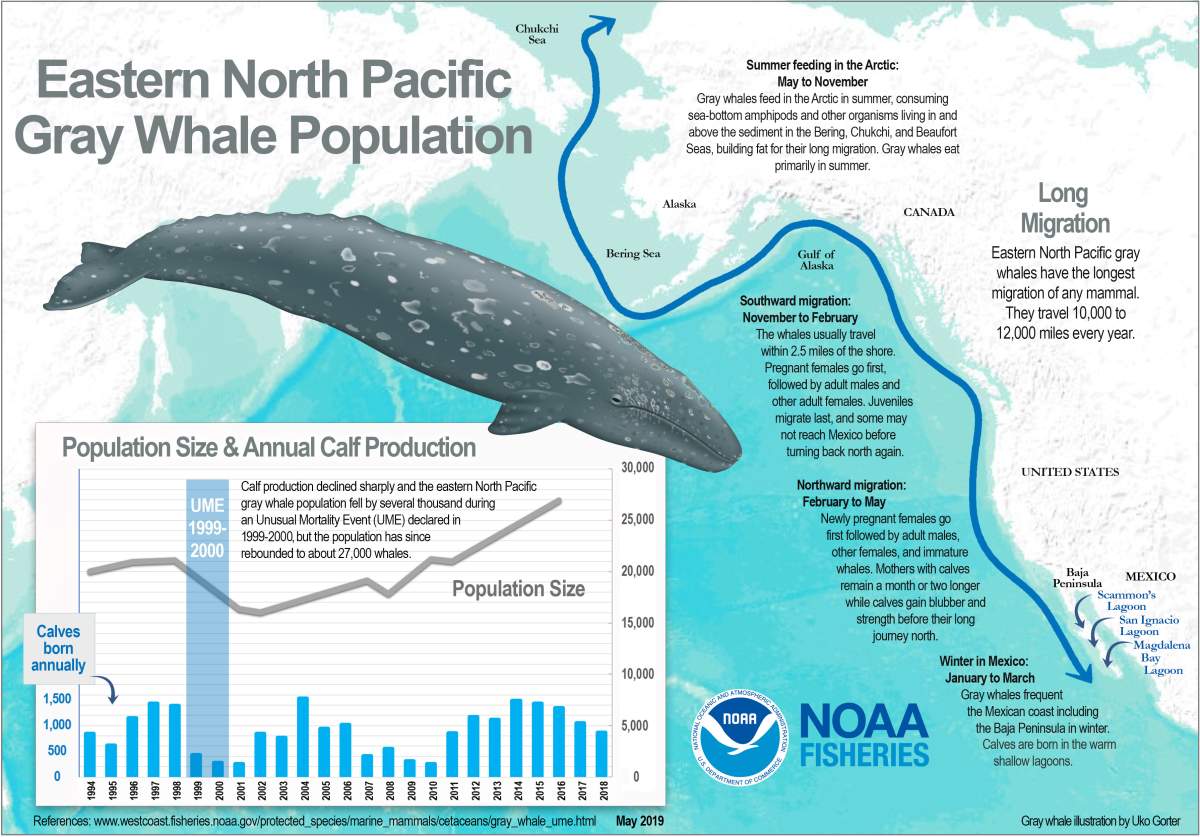 NOAA