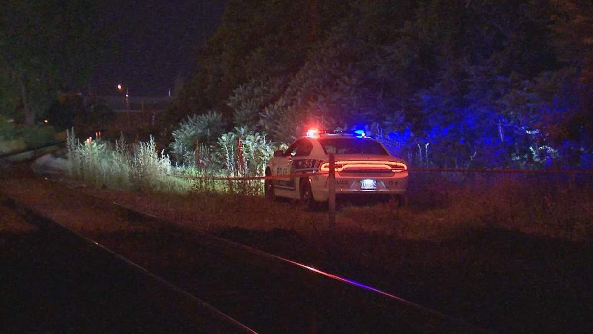 Police are continuing to examine the human remains, which were discovered on Friday.