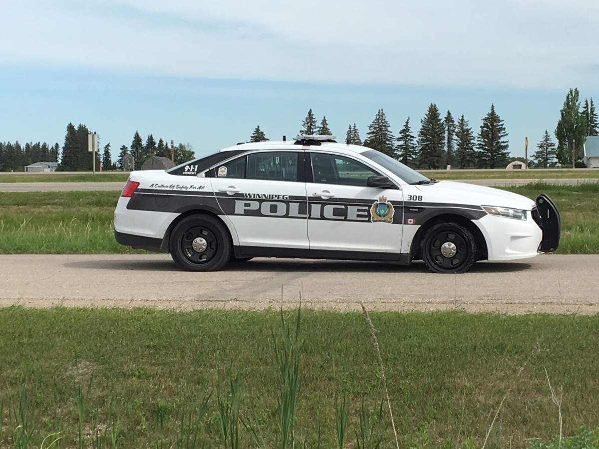 The stolen Winnipeg police cruiser sits near Portage la Prairie Thursday morning.