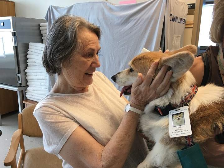 Therapy dogs from an organization called Pets and People Visiting Society make the rounds at Kelowna General Hospital. They also visit care homes.