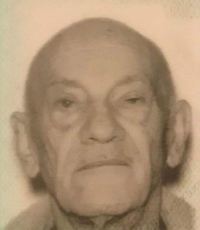 Bodies found in vehicle in Trent-Severn Waterway identified as missing Scarborough seniors: OPP - image