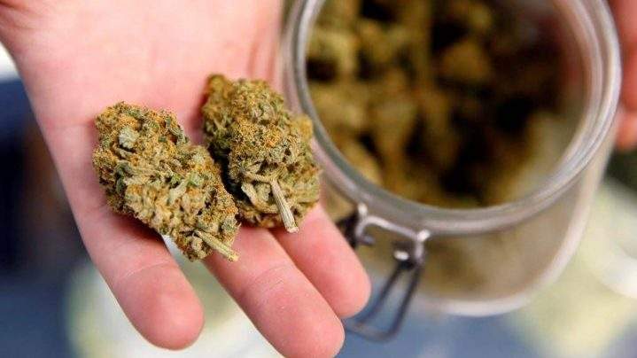 FILE - This Nov. 27, 2015 file photo shows two marijuana buds displayed for a customer in Denver, Colorado.