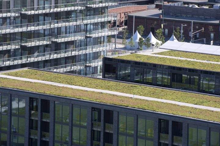 Green roofs at the Pan Am athletes village are shown in Toronto on Friday, June 19, 2015.