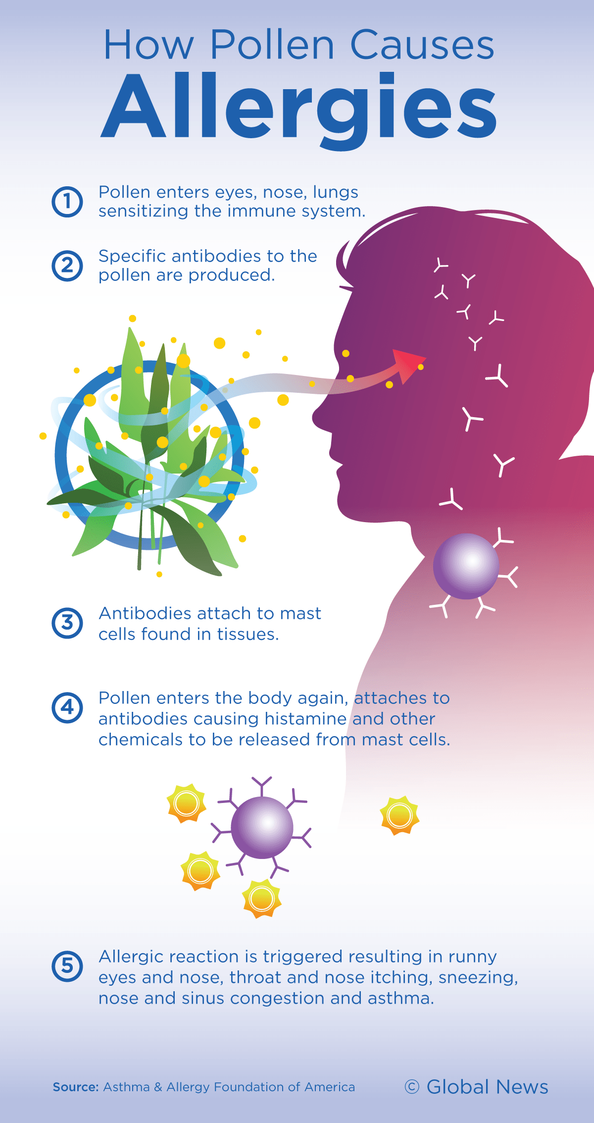 Blame ‘sexism’ and climate change for making your asthma and allergies worse - image