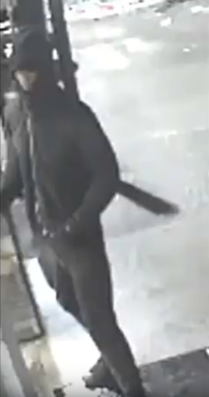 Toronto police release an image of the suspect.
