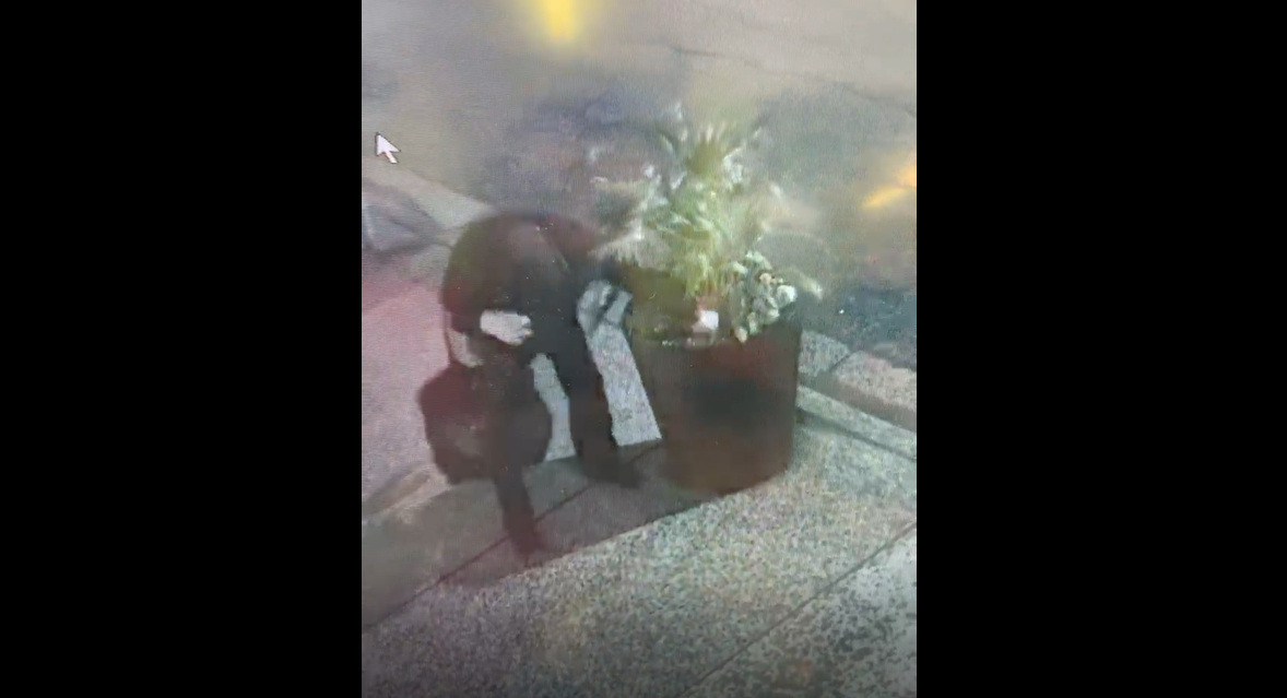 A still image from the CCTV footage.