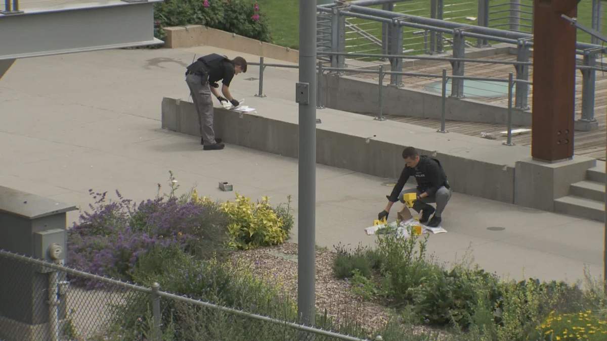 Police investigate a fight in New Westminster's Pier Park that left one person in hospital just after midnight Friday, June 14, 2019.