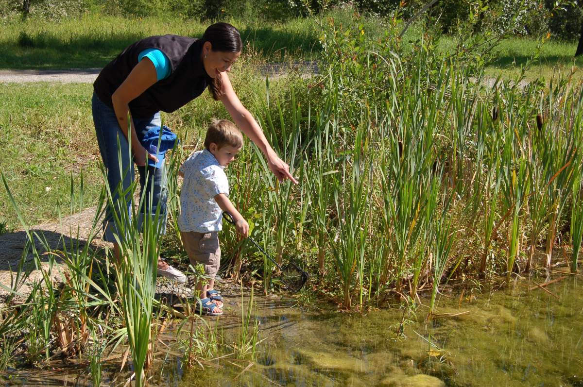 Ontario is investing $20 million to help enhance protection of natural areas across the province.